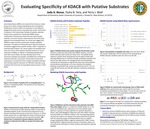 Evaluating Specificity of KDAC8 with Putative Substrates by Jada A. Bezue, Tasha B. Toro, and Terry J. Watt